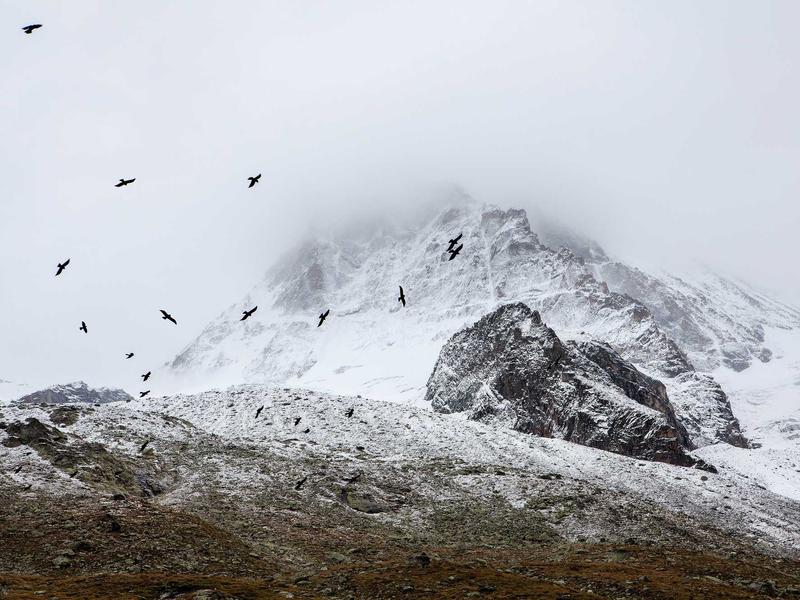 sudoku ocean theme screenshot 4